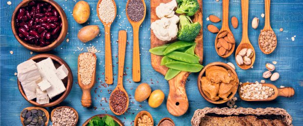 meatless protein