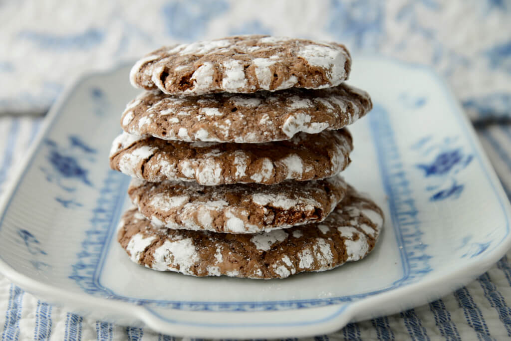 grain free chocolate cookies