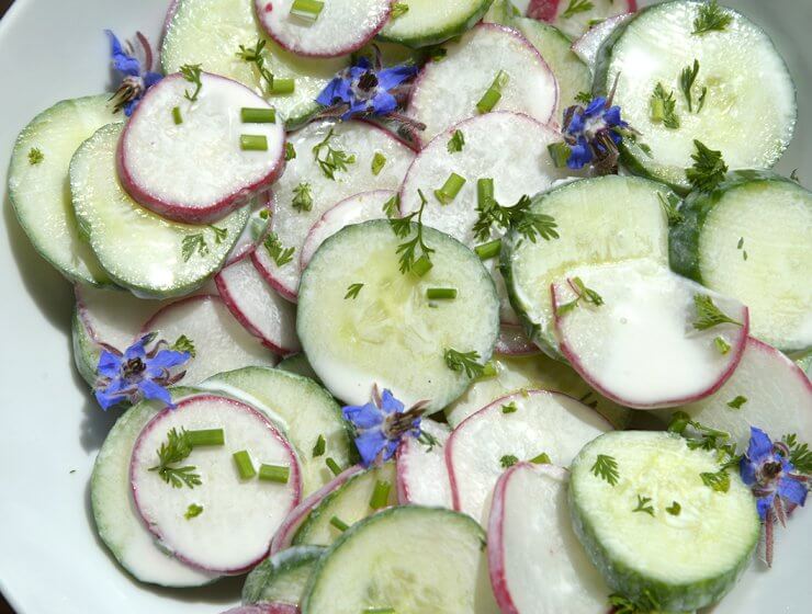 Cucumber Radish Salad